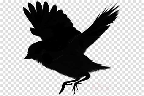 10 Best For Bird Silhouette Png Transparent Alison Illustration