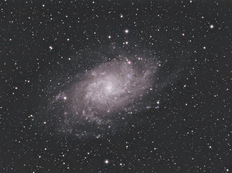M33 Triangulum Galaxy Adventures In Astrophotography Photo Gallery