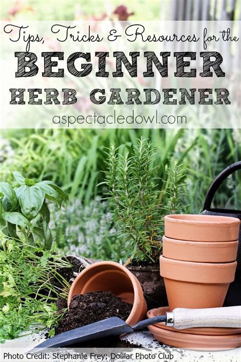Tips Tricks And Resources To Grow Your Own Herb Garden A Spectacled