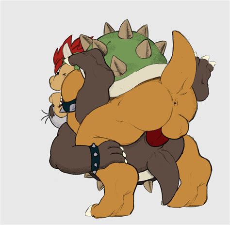 Princess Peach Bowser Koopa Troopa Super Mario Bros Png X Px Hot Sex Picture
