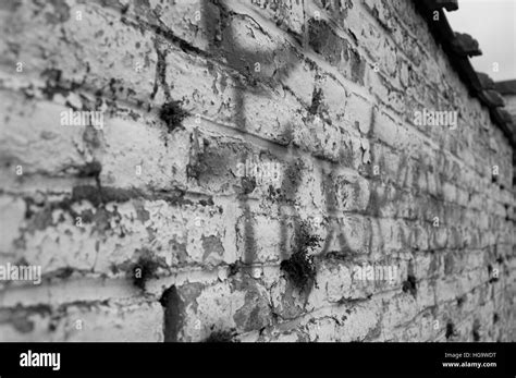 Graffiti On A Brick Wall Stock Photo Alamy