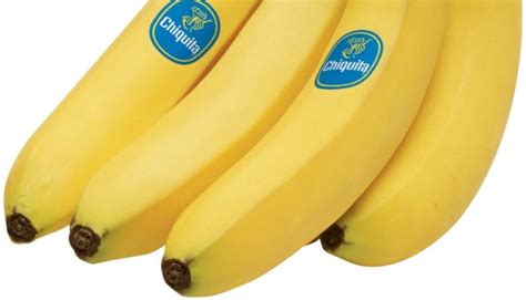 How Synthetic Biology Could Solve Our Banana Problem