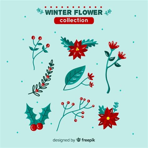 Free Vector Beautiful Winter Flower Collection