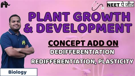 Plant Growth And Development Class 11 Neet Dedifferentiation