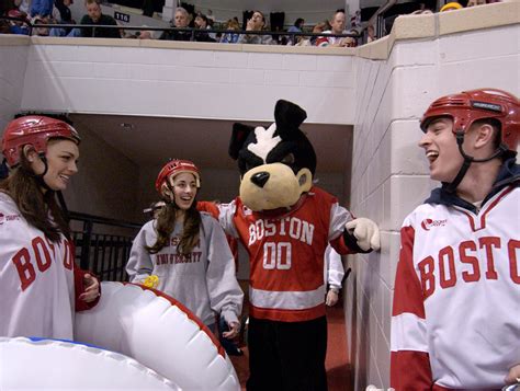 Rhett The Terrier Through The Years Bu Today Boston University