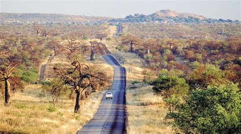 Mapungubwe World Heritage Landscape Visitors Center Limpopo ｜expedia