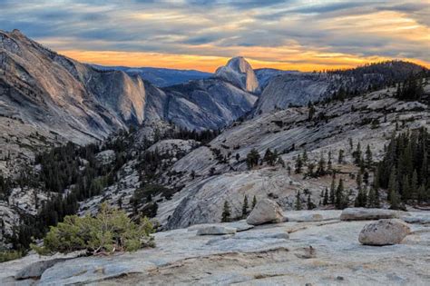 Tioga Road Road Trip In Yosemite National Park 2024 Guide