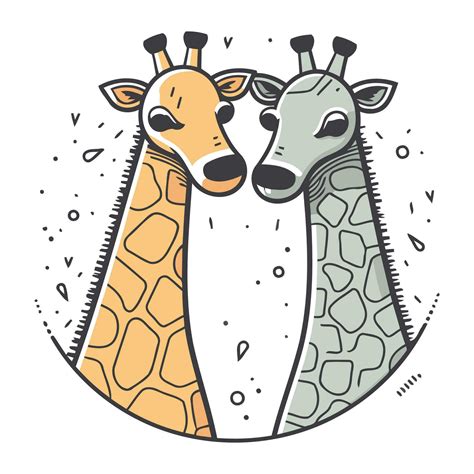 Vector Illustration Of Two Giraffes Hand Drawn Doodle Style 33643841