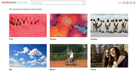 Shutterstock Showcase The Next Generation Of Visual Search Tools