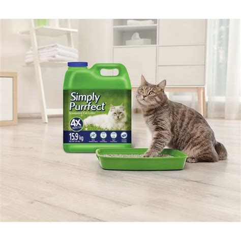 Top 5 Best Affordable Cat Litter Reviews And Guides For Your Money 2021