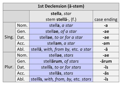 how to decline a first declension noun in latin quora