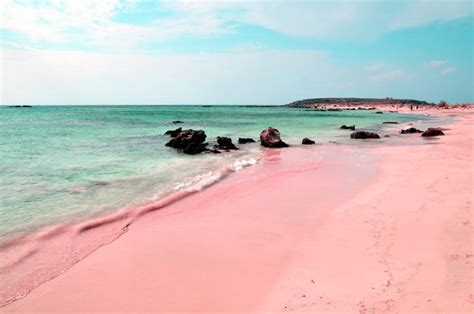 The Unique Pink Sands Beach In Harbour Island The Bahamas Places To