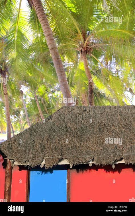 Caribbean Hut Red Colorful House Coconut Palm Trees Background Stock