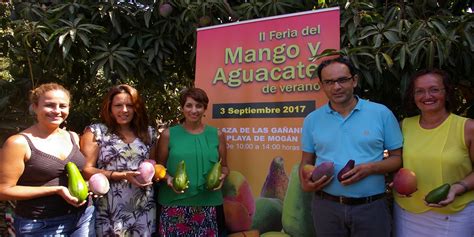 "II Feria del Mango y Aguacate de verano de Mogán ...