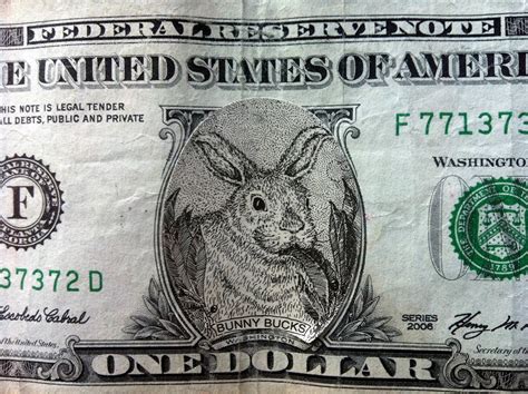 Share the best gifs now >>>. Rabbit Ramblings: Bunny money