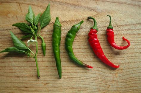 What Is The Hottest Chilli In The World