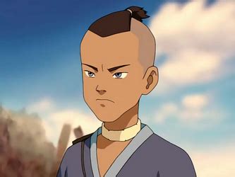 Avatar fans of sokka already know that he has a big heart, but there are a lot of facts about this famous water tribe warrior that you might not know. Sokka - Avatar Wiki, the Avatar: The Last Airbender resource