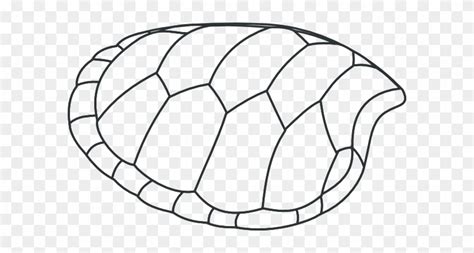 Turtle Shell Pattern Coloring Page Sketch Coloring Page