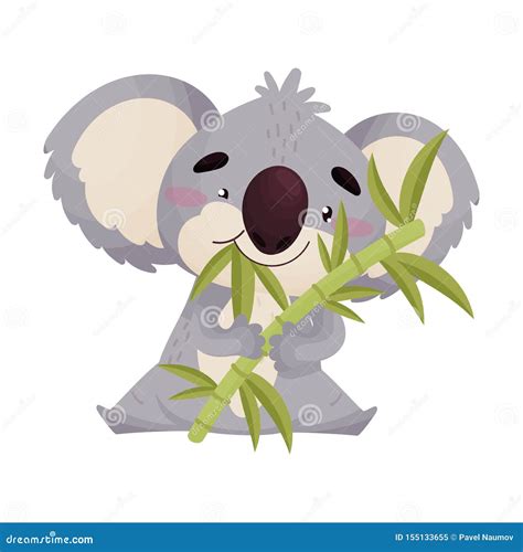 La Koala Linda Come Las Hojas De Bamb Ilustraci N Del Vector En El