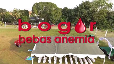 Loker dinas kebersihan kota bogor. Dinas Kesehatan Kota Bogor - Bogor Bebas Anemia - YouTube