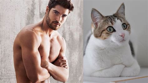 15 Gatti Che Assomigliano A Sex Symbol Dolci Carini E Incredibilmente Sexy Fem