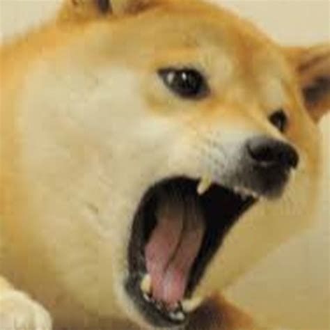 Doge Gaming Roblox Youtube