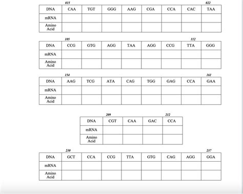 Answered Dna Mrna Amino Acid Dna Mrna Amino Acid Bartleby