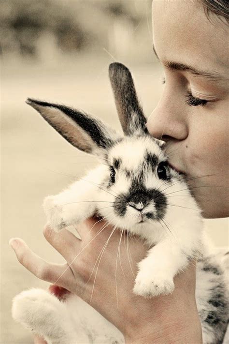 27 Bunnies That Will Cure Any Case Of The Mondays The Dog People By