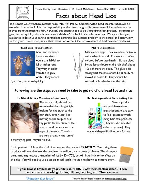 Facts About Head Lice Tooele County Health Department