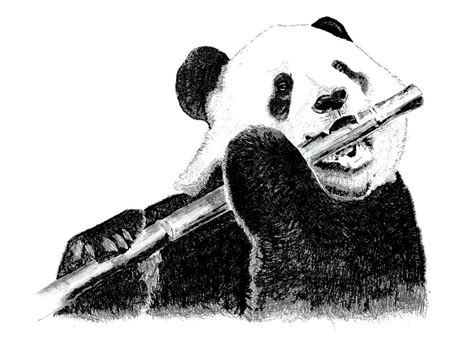 Panda Eating Bamboo By Annoyingairhead On Deviantart