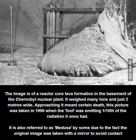Since then, the radioactivity of the elephant's foot has decreased, and it is. Today marks 28 years since Chernobyl and the ''Elephants Foot'' (aka Medusa). | Chernobyl ...
