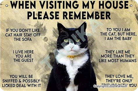 When Visiting My House Please Remember Love Cat Rules 20x30 Cm Iron
