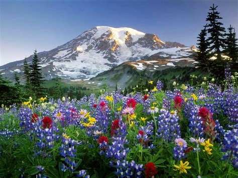 Free Download Spring In Mountains Wallpaper 116576 Hd