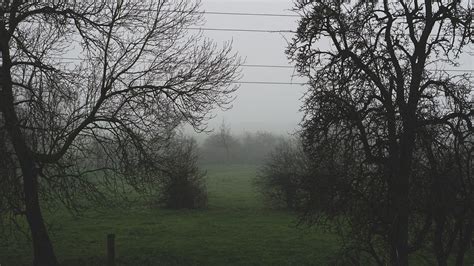 Foggy Day Seltsam Im Nebel Zu Wandern Einsamsein Kein Me Flickr