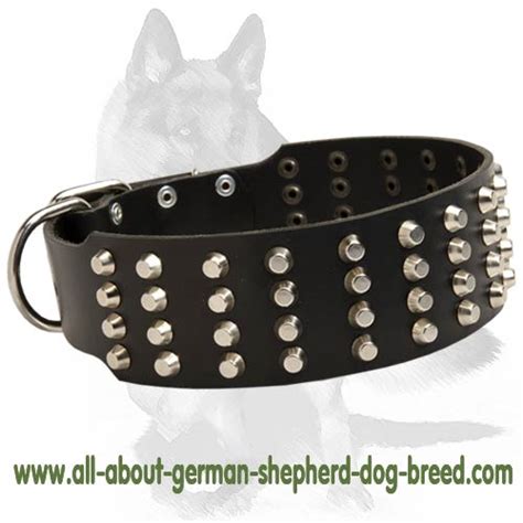 Wide Studded Leather Dog Collar For German Shepherd German Shepherd