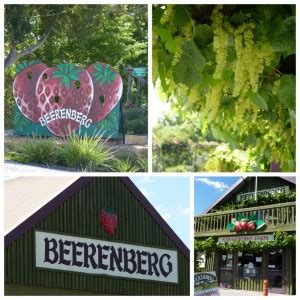 Beerenberg Farm | Pick Your Own Strawberries | Hahndorf - What's on for ...