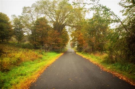 Foggy Country Road Stock Photo Image Of Callicoon Skies 129088776
