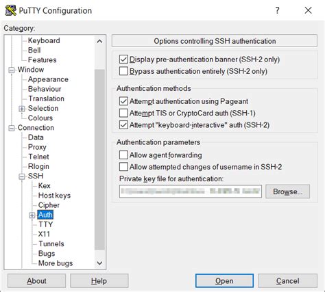 Authentication With Keys In Putty