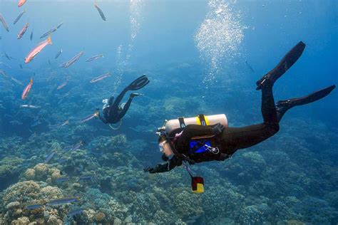 Scuba Diving Red Sea Detlef England