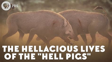 The Hellacious Lives Of The Hell Pigs Youtube