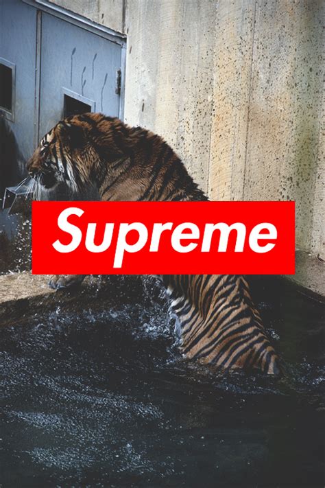 Full screen supreme dirt bike wallpaper. supreme iphone wallpaper | Tumblr