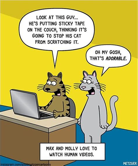 30 Funny Cat Comics By Scott Metzger That Might Make Every Cat Owner Cry With Laughter New Pics