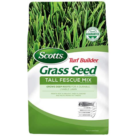 Scotts Turf Builder Grass Seed Tall Fescue Mix 3 Lb Full Sun And