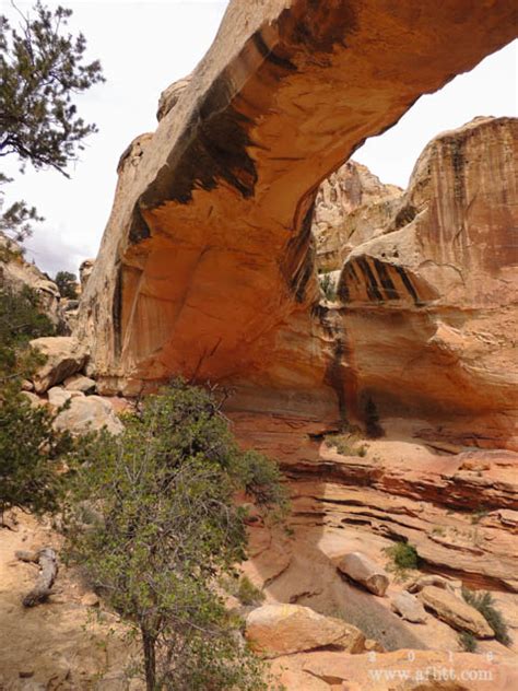 Camping in capitol reef national park requires a designated campsite or a backcountry permit. Rubble: Capitol Reef National Park: Hickman Bridge