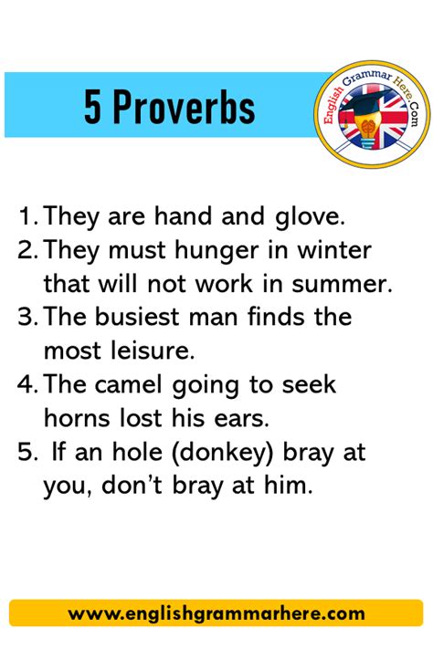 5 Proverbs Examples In English English Grammar Here