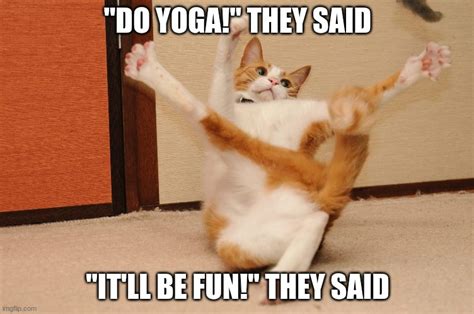 Funny Yoga Memes Images
