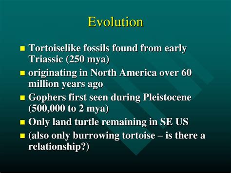 Ppt The Gopher Tortoise Powerpoint Presentation Free Download Id 4211698