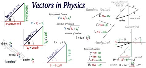 Information About Vectors In Physics
