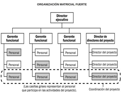 tipos de organizaci n pmbok universidad aut noma de la ciudad de m xico 115872 hot sex picture