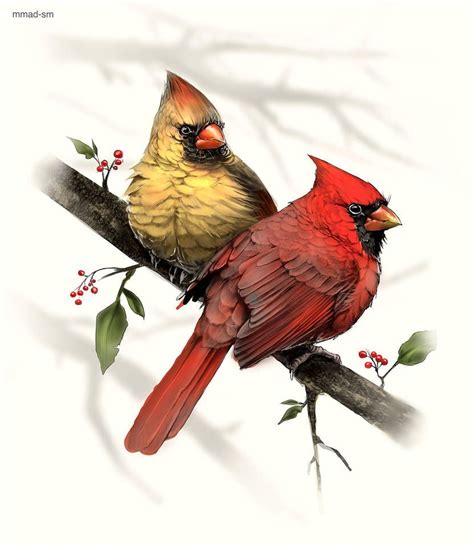 Cardinal Bird Tattoos Cardinal Drawing Cardinal Birds Art Red Bird